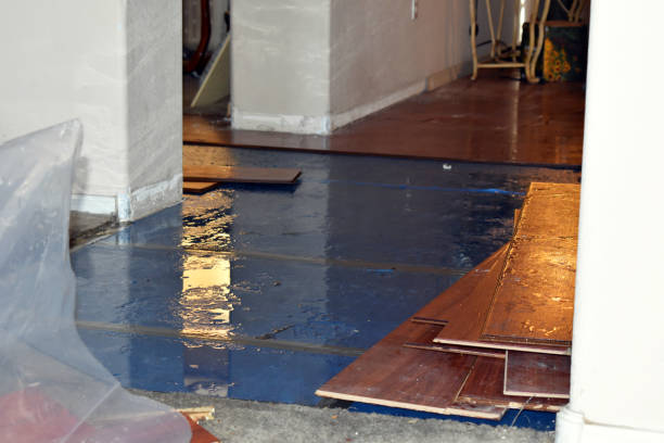 Professional Basement Flood Cleanup technician working in Montpelier, IN